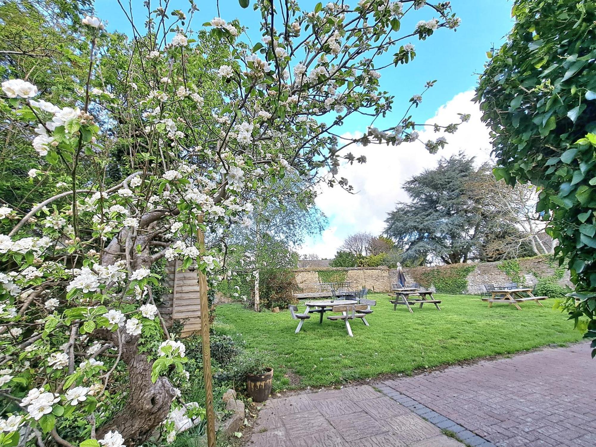 The White Hart Bed and Breakfast Eynsham Exteriör bild